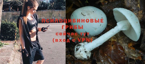 ALPHA PVP Богданович