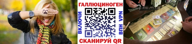 Псилоцибиновые грибы Psilocybine cubensis  Пятигорск 